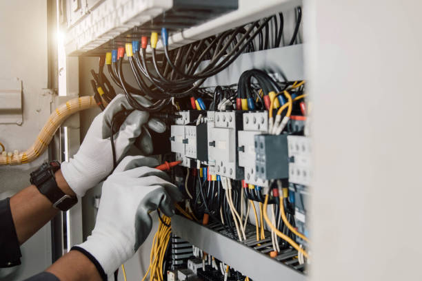 Best Electrician for Home Renovation  in Williamston, NC